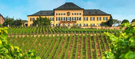 Sur la route des vins