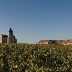 Domaine
Jean-Marc Brocard
