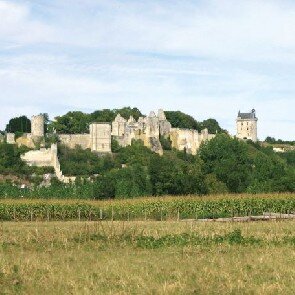 Ibis Styles Chinon*** (anciennement All Seasons)