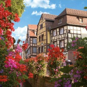 Hôtel-Restaurant des Vosges**