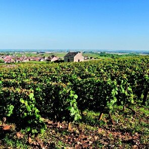 Domaine François Bergeret