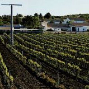 Bodegas Montalvo Wilmot Bodegas Montalvo Wilmot