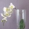 beauty lounge kein Bild