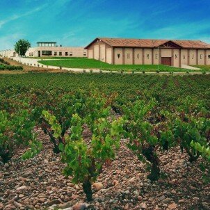 Bodegas Marco Real Bodegas Marco Real